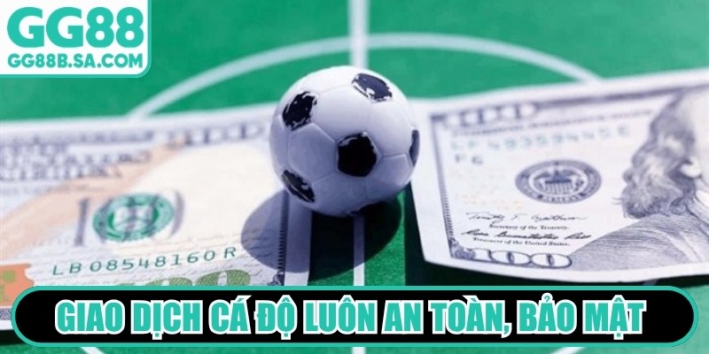 Giao dịch cá độ luôn an toàn, bảo mật tuyệt đối trên thiết bị